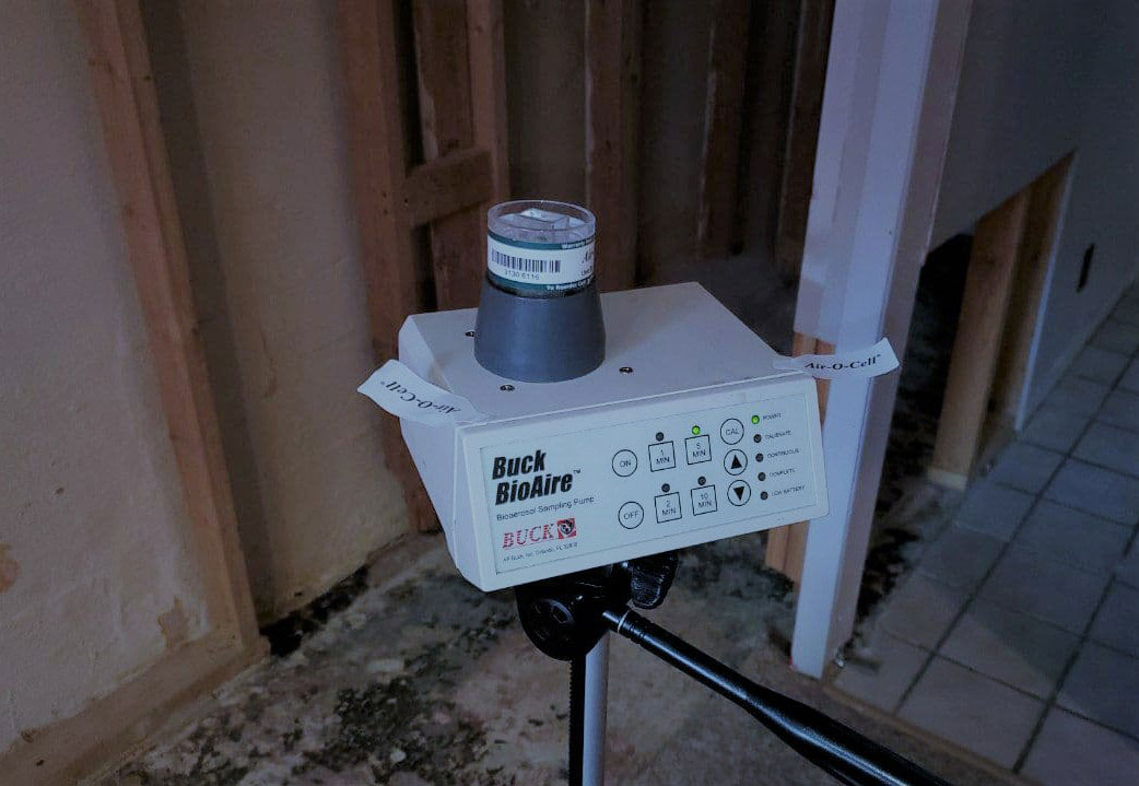 air quality testing for mold