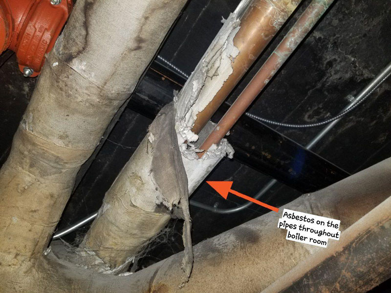 asbestos testing example