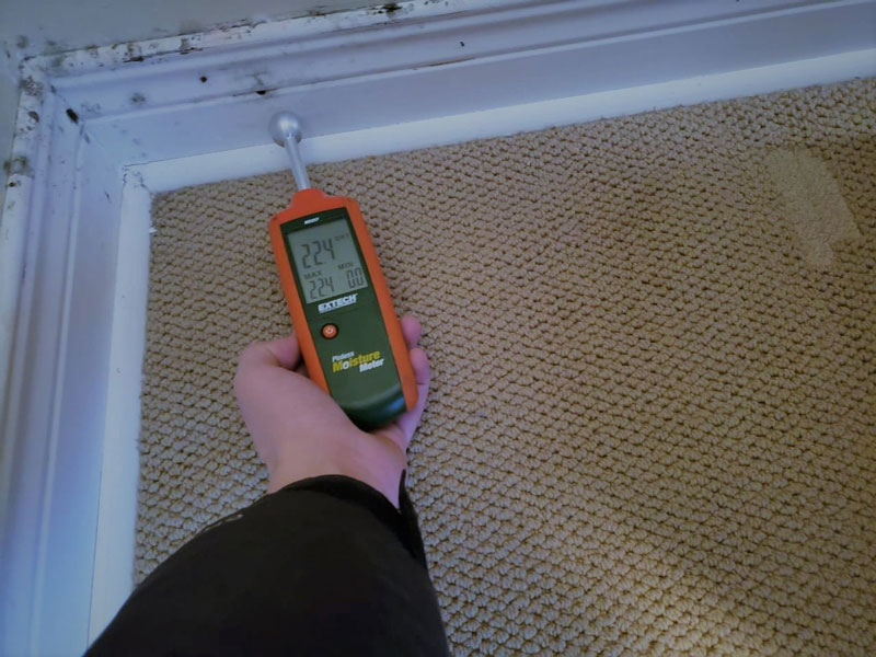 moisture inspection hamilton moisture inspection hamilton