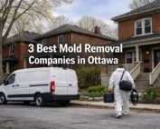 3 Best Mold Removal Companies in Ottawa - professional mold inspection