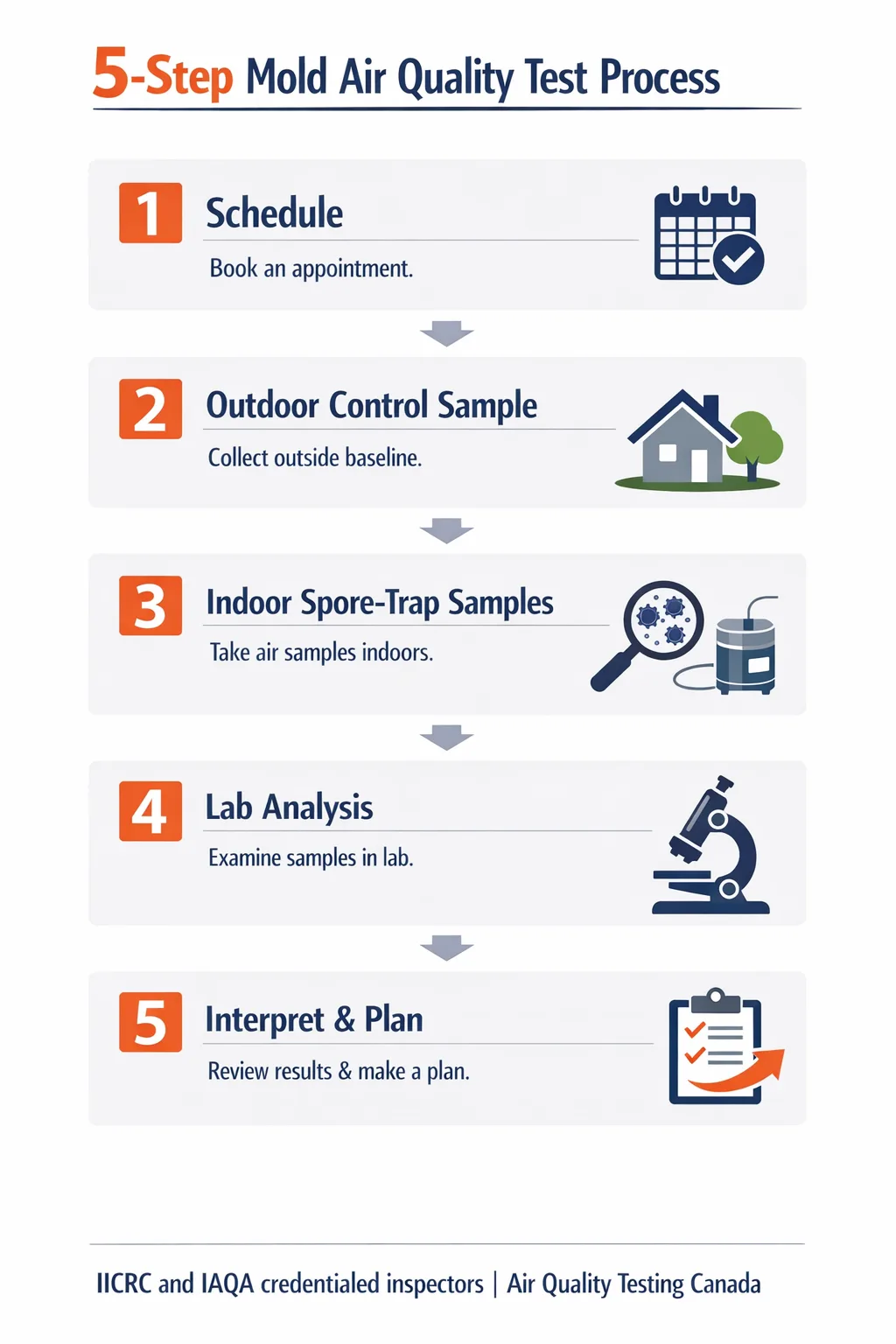 Five-step air quality test for mold process - schedule, outdoor control sample, indoor spore-trap samples, accredited lab analysis, CFU/m3 interpretation and remediation plan