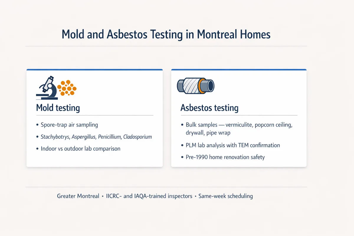 Mold & Asbestos Testing in Montreal Homes Mold and asbestos testing in Montreal homes — the two contaminants we lead with