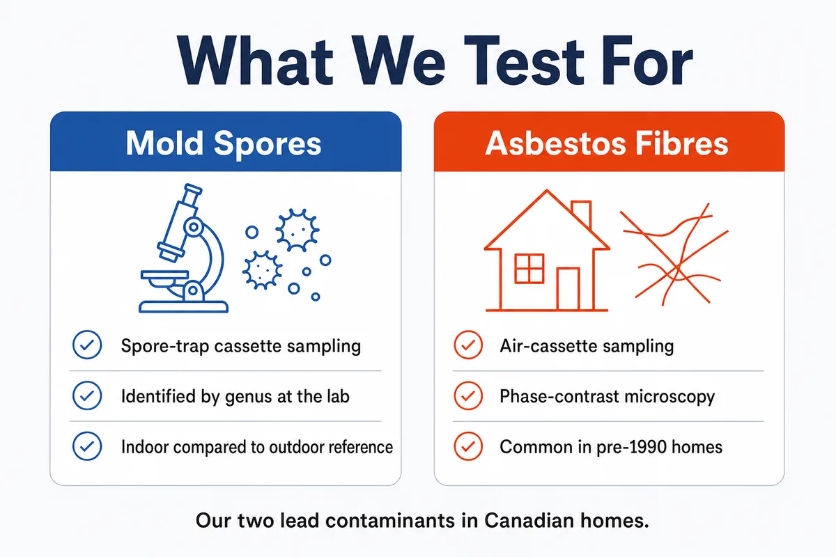 What we test for in home air: mold spores and asbestos fibres, our two lead contaminants in Canadian homes